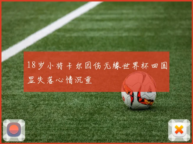 18岁小将卡尔因伤无缘世界杯回国显失落心情沉重